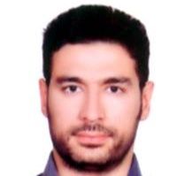 سعید نامجو