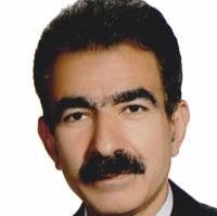 سعید سلیمانی تخصص