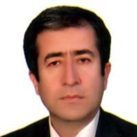 سعید مهردل