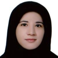 سمیرا محمد میرزاپور