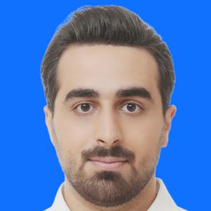 سیدمبین میردیلمی