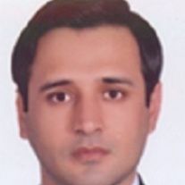 سید علی حسینی المدنی