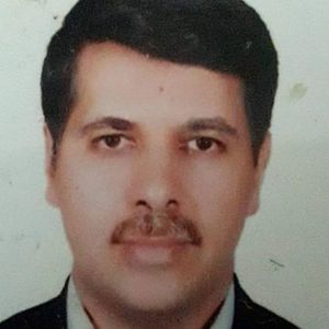 سید علی محمودی
