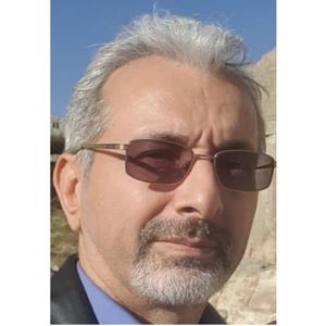 سید علی صفوی نایینی