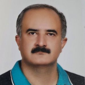 سید فرید معین زاده