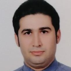 سید حسن عمادی جمالی