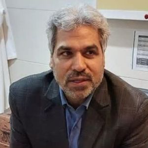 سید حسن میرحسینی
