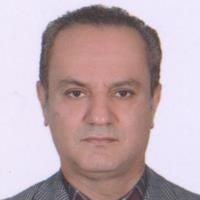 سیدحسن سیدنژادفهیم