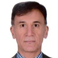 سیدکامبیز مکی نژاد