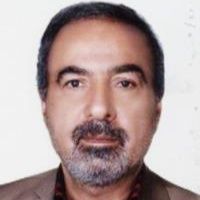 سید محمدحسن موسوی پور