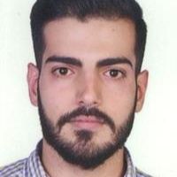 سیدمحمدحسین رضوی