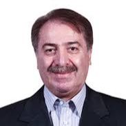 سیدمحمد ربیعی هاشمی