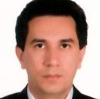 سید محمد سیدحسنی