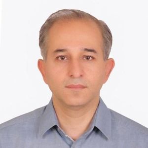 سید محسن رضوی