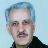سید مجتبی علوی