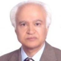 سیدمجتبی نیک نژاد