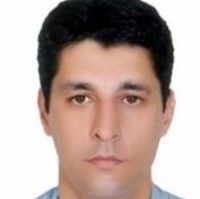 سید وحید قاسمی
