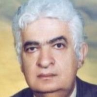 سیدضیاءالدین عمادی