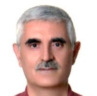 سیدضیاءالدین طباطبائی محمدی