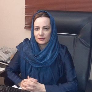 سیده فرهانه امینی