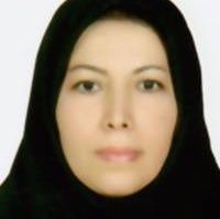 سیده مریم حامی