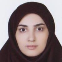 سیده متین ابراهیمی گرفمی
