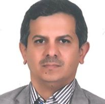 سیدحسین المدنی