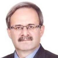 سیدمهدی سیدمیرزایی