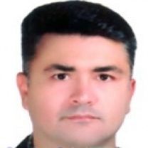 سید رضا سید حسینی