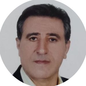 سید عزیز چابکی