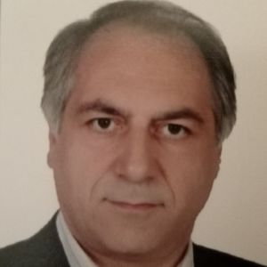 سیدفرید عاملی