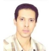 سید حمید موسوی حسن زاده