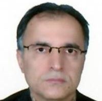 سید حسن هاشمی امیر