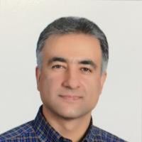سیدمهدی زکی دیباور