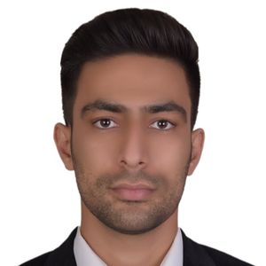 سید مهران مجتبائی