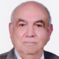 سیدمحمدرضا فیض
