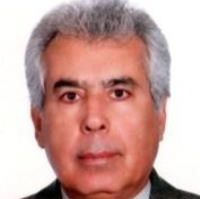 سیدصدرالدین هادی پور