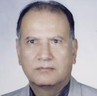 سیدعزیزالدین یحیوی فیروزآبادی