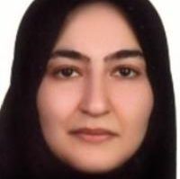 سیده ندا کاظمی