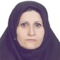 شهین دخت داودی