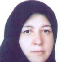 شهین فتحی نژاد