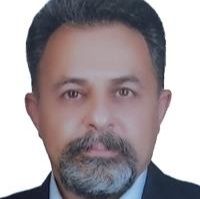 شاهین جمیلی