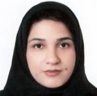 شهرزاد ریاضی