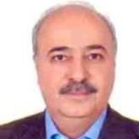 شکیب عباسی دلوند