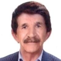 شاپور بابائی