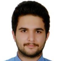 شایان امیری
