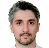شروین مولوی