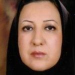 شکوفه نوروزی