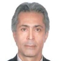 سیاوش سلیمیان