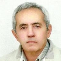 سیاوش نظری